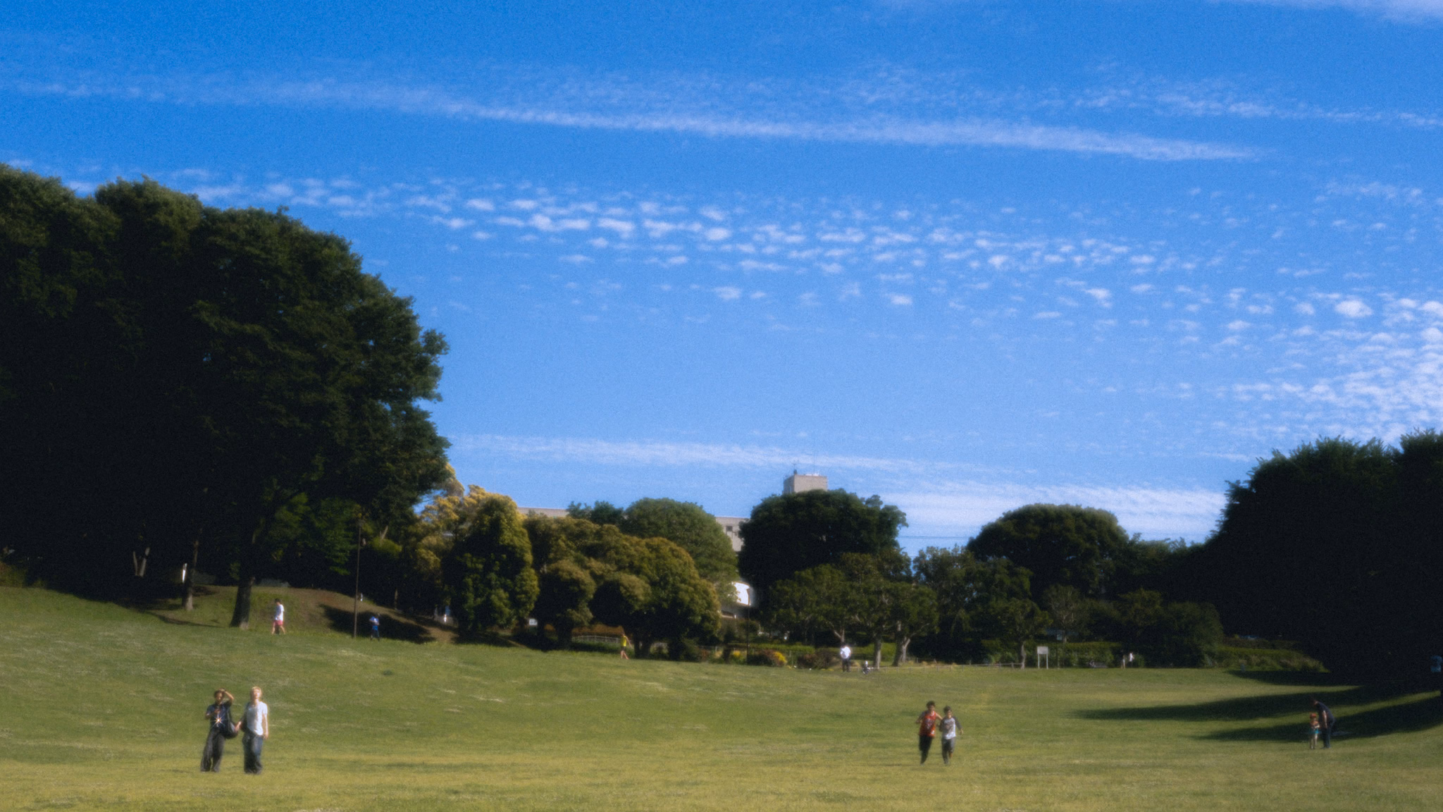 A couple walks and children run across a wide grass lawn under a big blue sky.