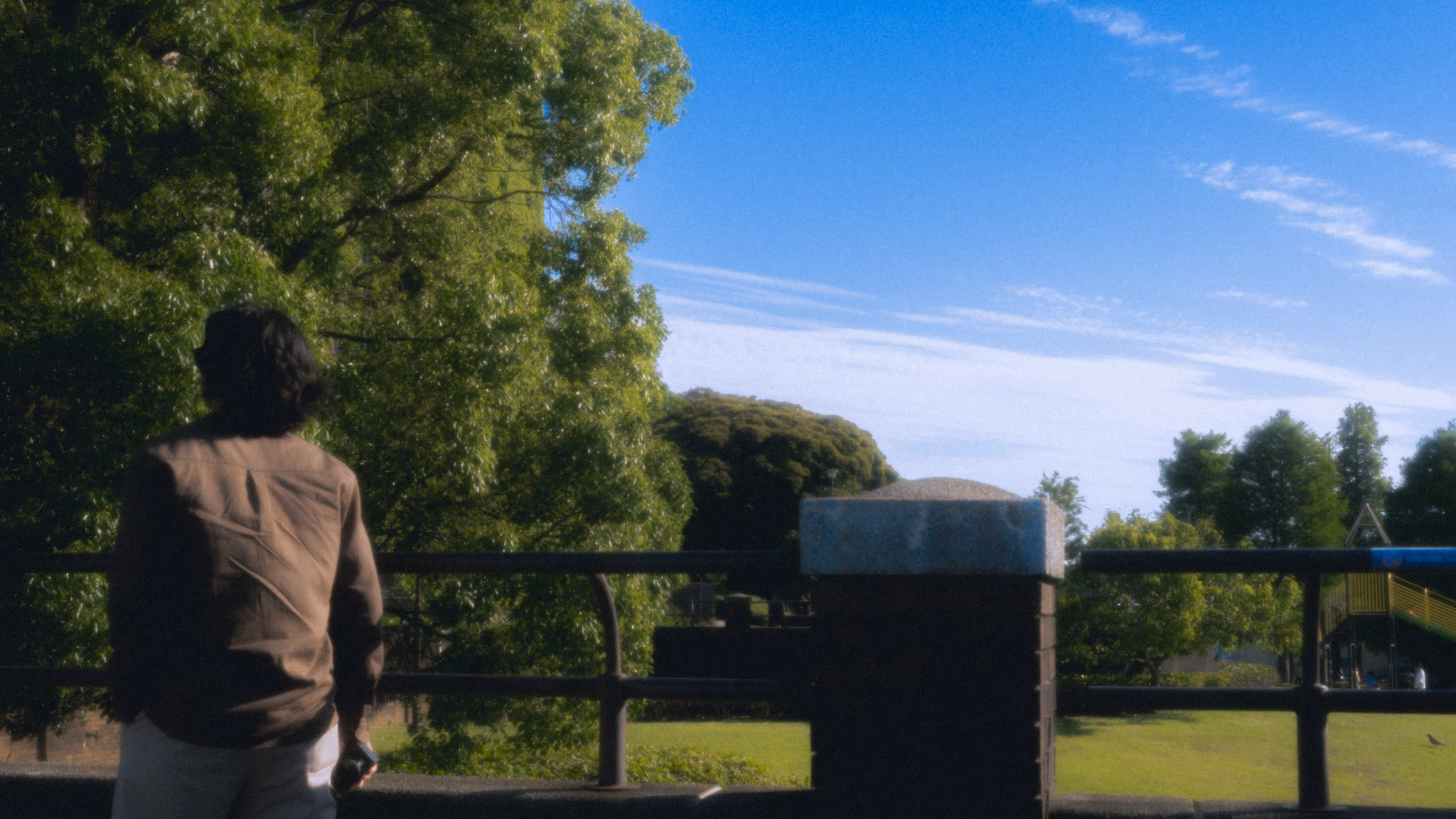 A man in a brown shirt looks out over the park lawn from behind a railing.