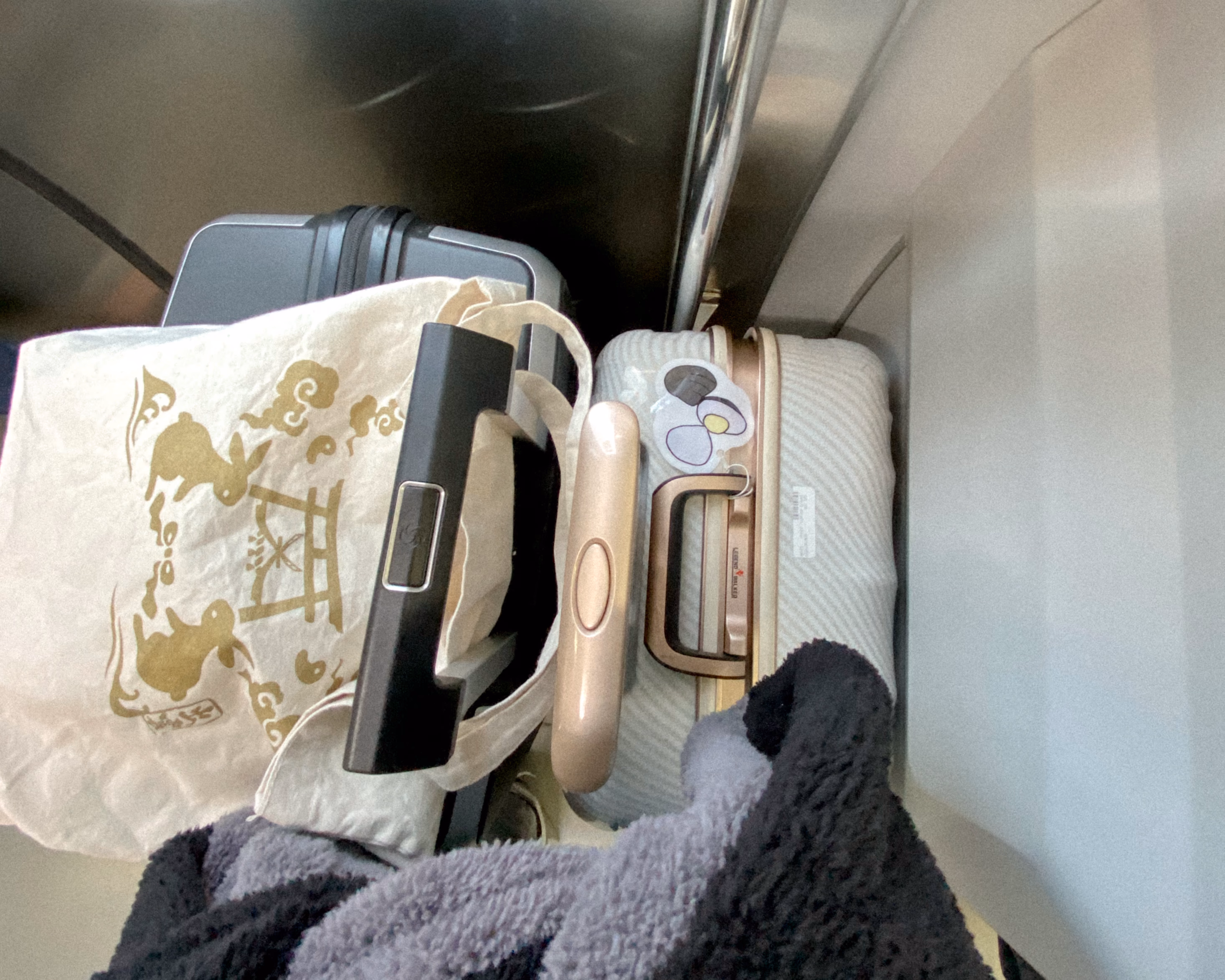 電車で寝ているMii