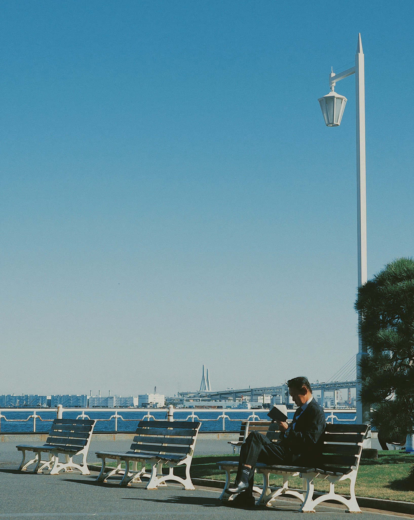 Person reading on a bench in Yamashita Park with Yokohama Bay Bridge and blue sky.