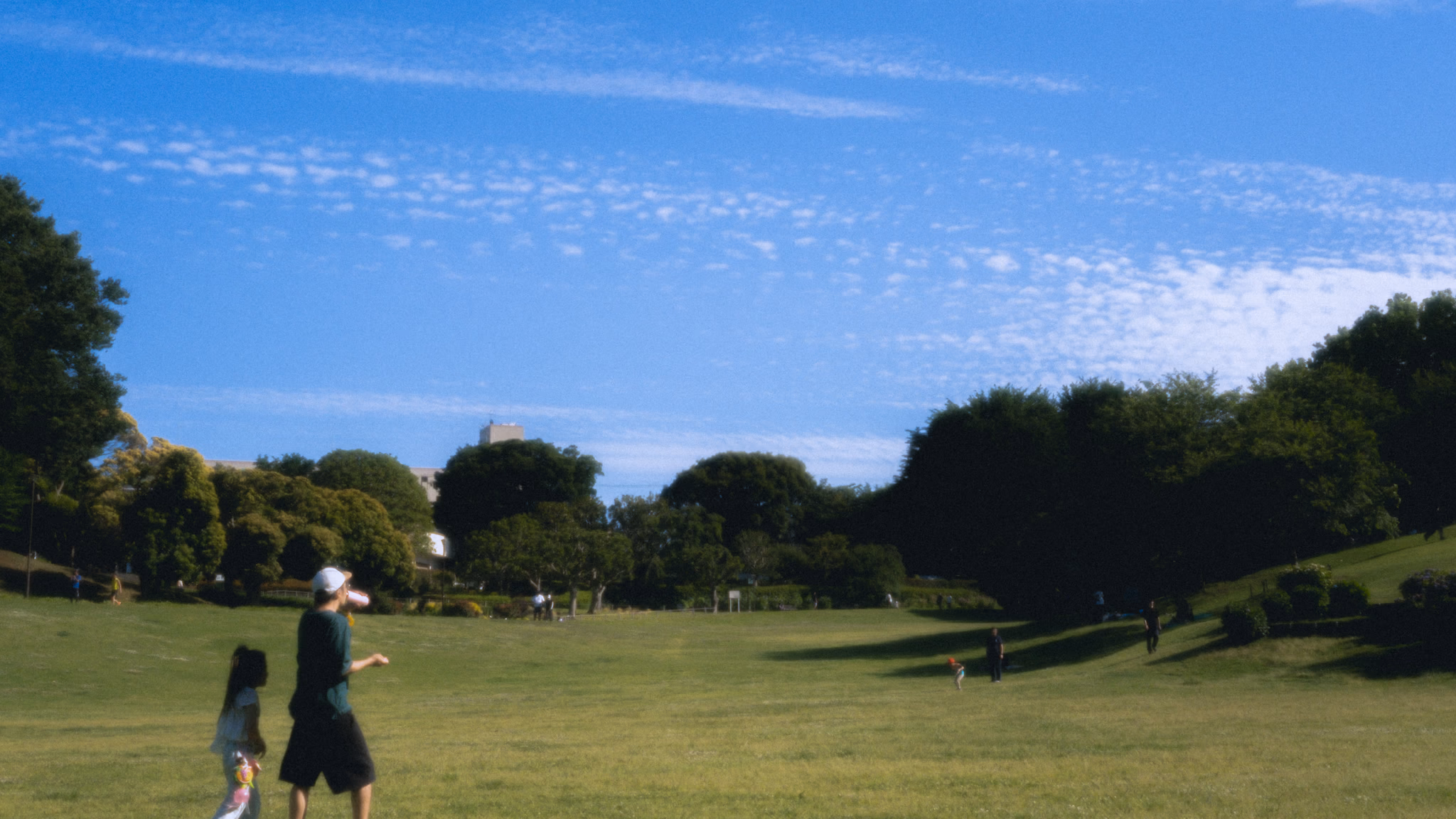 A father and child walking across a wide grass lawn under scattered clouds.